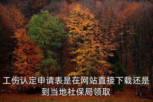 工傷認定申請表是在網站直接下載還是到當地社保局領取