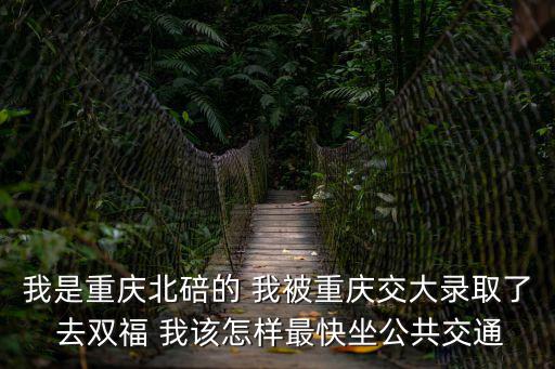 我是重慶北碚的 我被重慶交大錄取了 去雙福 我該怎樣最快坐公共交通