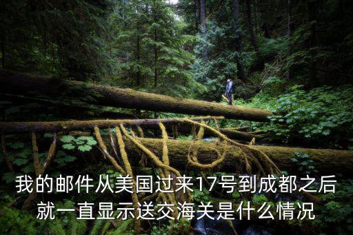 我的郵件從美國過來17號到成都之后就一直顯示送交海關(guān)是什么情況