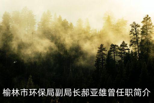 榆林市環保局副局長郝亞雄曾任職簡介