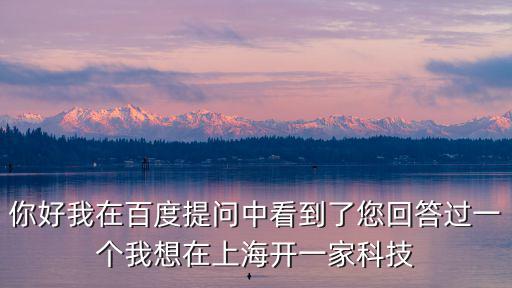 你好我在百度提問中看到了您回答過一個我想在上海開一家科技