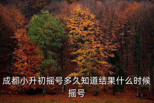 成都小升初搖號多久知道結果什么時候搖號