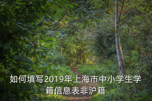 如何填寫2019年上海市中小學生學籍信息表非滬籍