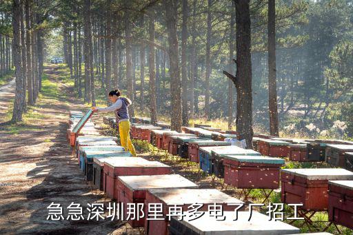 急急深圳那里再多電了廠招工