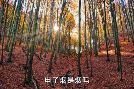 電子煙是煙嗎
