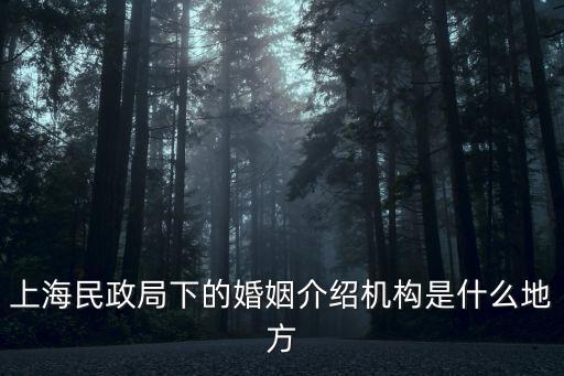 上海市婚姻介紹行業協會，上海婚慶行業協會大家覺的選擇哪家比較好呢
