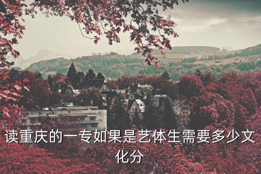 讀重慶的一專如果是藝體生需要多少文化分