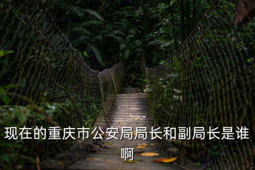 現在的重慶市公安局局長和副局長是誰啊