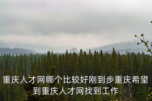 重慶人才網哪個比較好剛到步重慶希望到重慶人才網找到工作