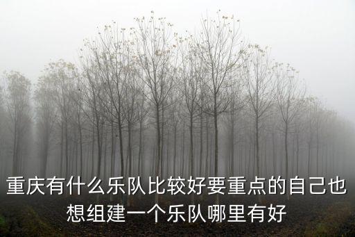 重慶有什么樂隊(duì)比較好要重點(diǎn)的自己也想組建一個(gè)樂隊(duì)哪里有好