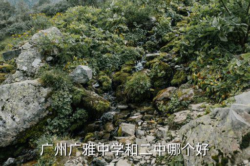 廣州廣雅中學和二中哪個好