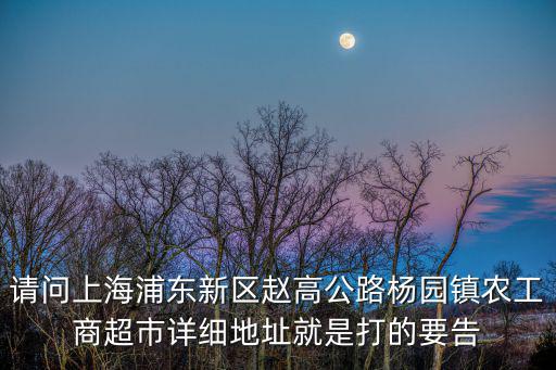 請問上海浦東新區趙高公路楊園鎮農工商超市詳細地址就是打的要告