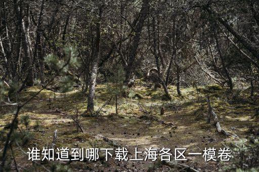 誰知道到哪下載上海各區一模卷
