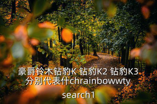 豪爵鈴木鉆豹K 鉆豹K2 鉆豹K3分別代表什chrainbowwtysearch1