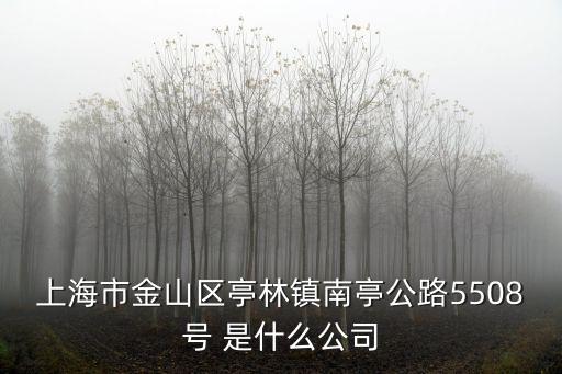 上海市金山區亭林鎮南亭公路5508號 是什么公司