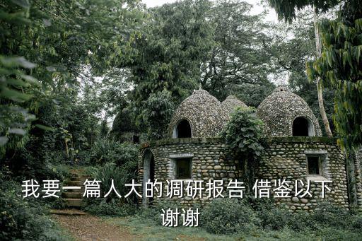 我要一篇人大的調研報告 借鑒以下 謝謝