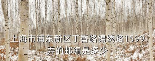 上海市浦東新區丁香路錦繡路1599弄的郵編是多少