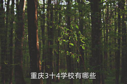 重慶3十4學校有哪些