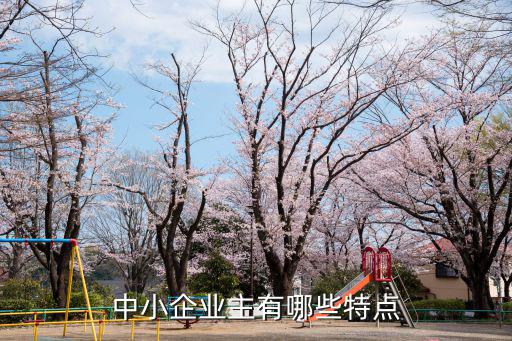 中小企業主有哪些特點