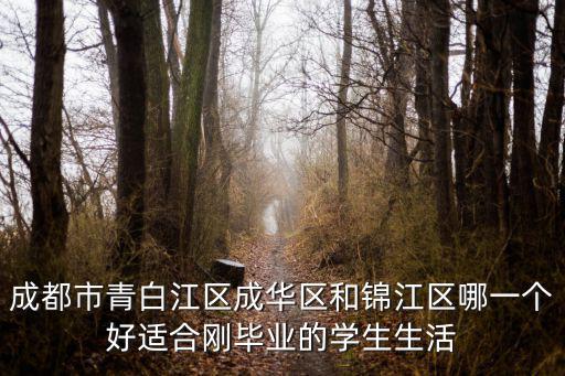 成都市青白江區(qū)成華區(qū)和錦江區(qū)哪一個好適合剛畢業(yè)的學生生活