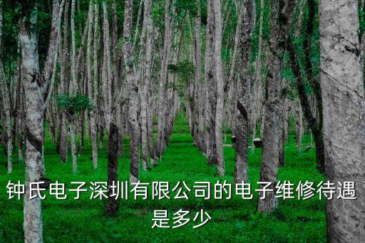 深圳市鐘氏電子，深圳南山區學府路西部電子2層120號