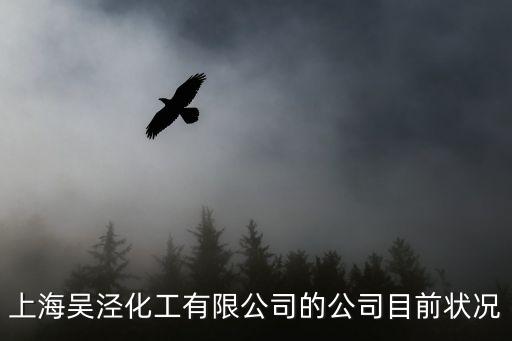 上海吳涇化工有限公司的公司目前狀況