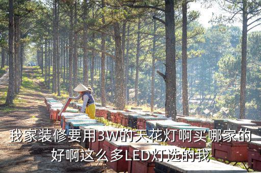 我家裝修要用3W的天花燈啊買哪家的好啊這么多LED燈選的我