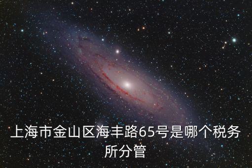 上海市金山區(qū)海豐路65號(hào)是哪個(gè)稅務(wù)所分管