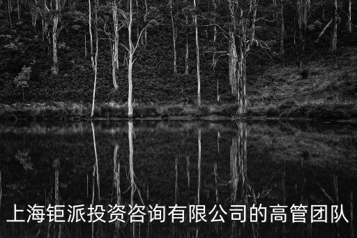 上海鉅派投資咨詢有限公司的高管團隊