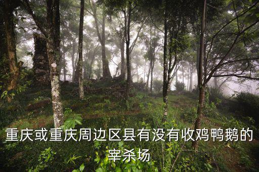 重慶或重慶周邊區縣有沒有收雞鴨鵝的宰殺場
