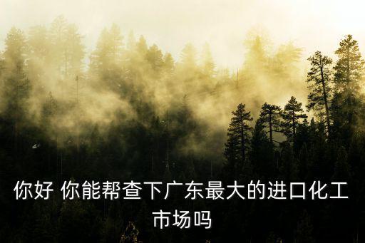 你好 你能幫查下廣東最大的進口化工市場嗎