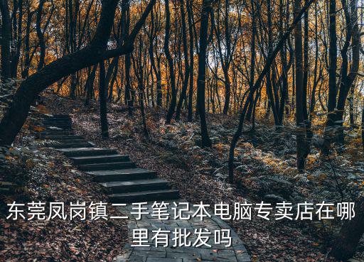 東莞鳳崗鎮(zhèn)二手筆記本電腦專賣店在哪里有批發(fā)嗎