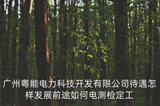 廣州粵能電力科技開發有限公司待遇怎樣發展前途如何電測檢定工