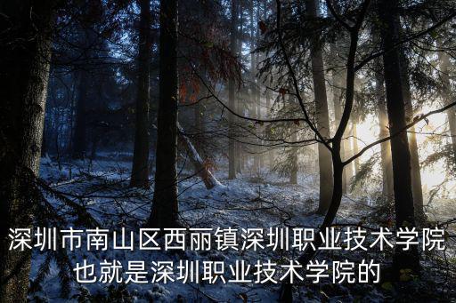 深圳市南山區(qū)西麗鎮(zhèn)深圳職業(yè)技術(shù)學(xué)院也就是深圳職業(yè)技術(shù)學(xué)院的