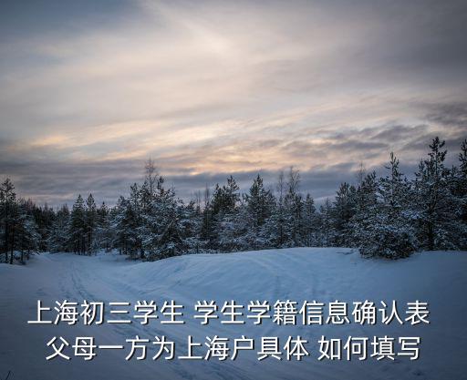 上海市學(xué)籍登記表，2010年上海市普通高校秋季招生考試報(bào)名登記表的學(xué)籍號(hào)和報(bào)名號(hào)怎么