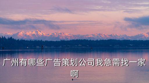 廣州有哪些廣告策劃公司我急需找一家啊