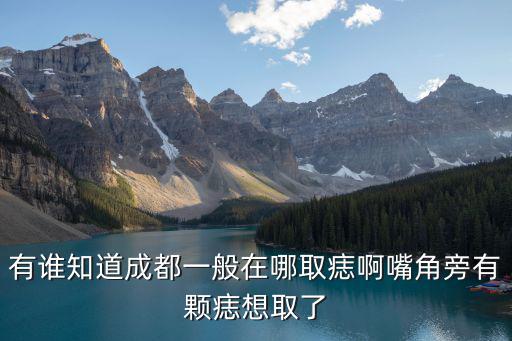 成都市三醫院取痣，我姐姐有一顆較大的痣我想問一下成都哪家取痣好些 不會留疤痕