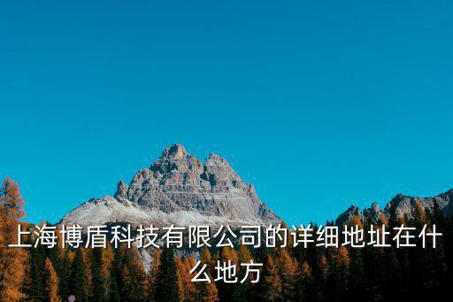 上海博盾科技有限公司的詳細地址在什么地方