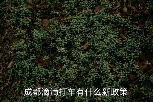 成都滴滴打車有什么新政策