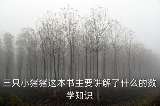 三只小豬豬這本書主要講解了什么的數學知識