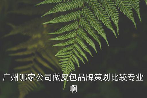 廣州女包皮具設計，廣州藝利皮革有限公司設計總監 什么地址