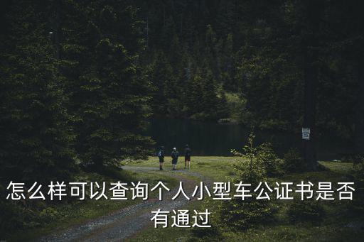 怎么樣可以查詢個人小型車公證書是否有通過