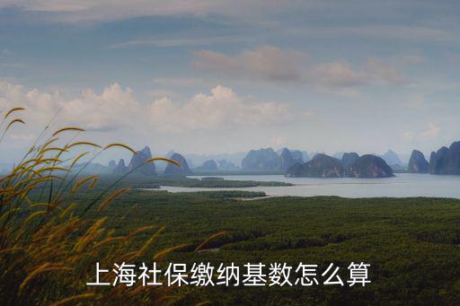 上海社保繳納基數怎么算