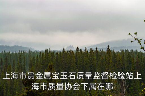 上海市貴金屬寶玉石質量監督檢驗站上海市質量協會下屬在哪