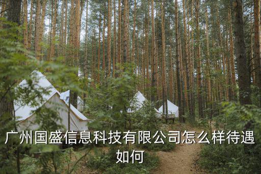 廣州安盾信息技術有限公司，廣州國盛信息科技有限公司怎么樣待遇如何