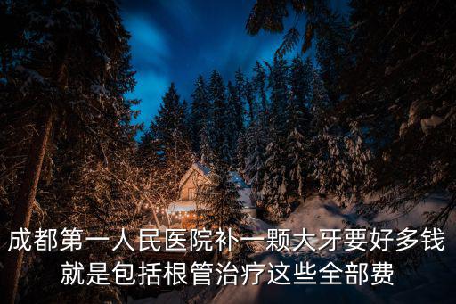 成都第一人民醫院補一顆大牙要好多錢就是包括根管治療這些全部費