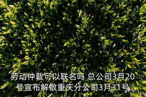 勞動仲裁可以聯名嗎 總公司3月20號宣布解散重慶分公司3月31號