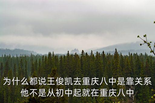 為什么都說王俊凱去重慶八中是靠關(guān)系他不是從初中起就在重慶八中
