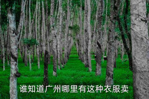 誰知道廣州哪里有這種衣服賣