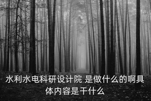 水利水電科研設計院 是做什么的啊具體內容是干什么